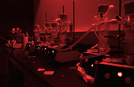 nside the Dark Room&nbsp; 