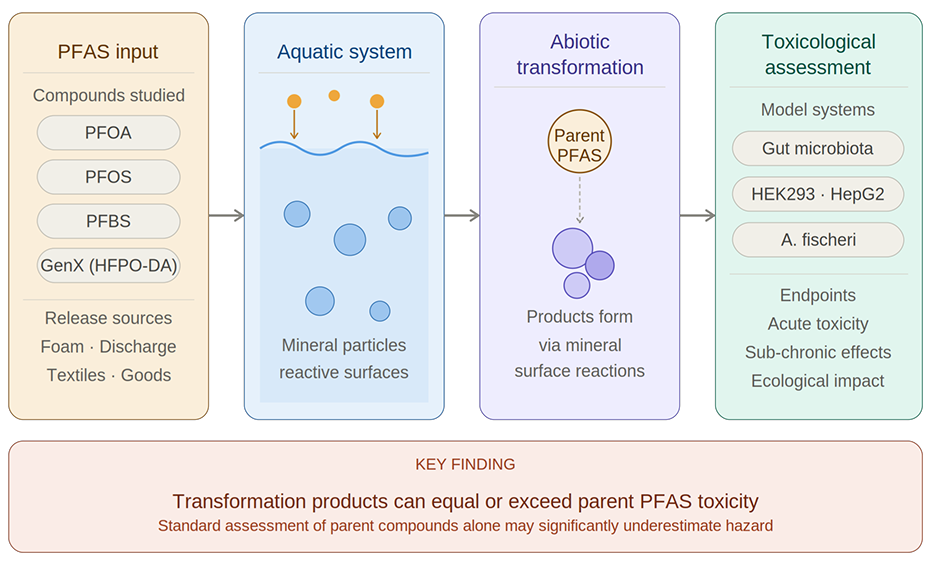 Graphical abstract showing a four-stage research workflow: PFAS compounds (PFOA, PFOS, PFBS, GenX) enter aquatic systems where mineral particle 
