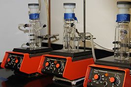 Custom-built Glass Reactors