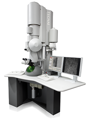 Picture of a generic TEM Instrument 